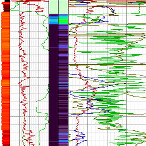 Practical Well-log Standards (PWLS)