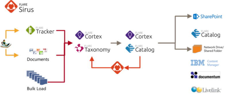 Content Migration