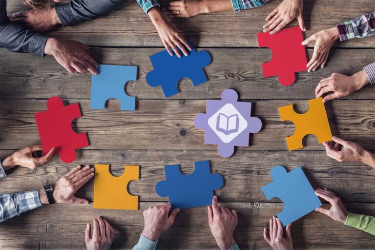 Datasets Mergers - Flare Solutions