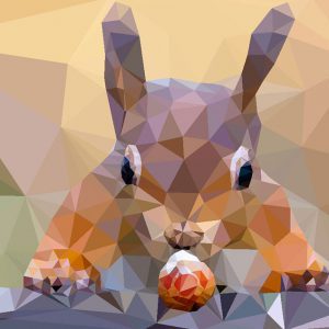 faceted search