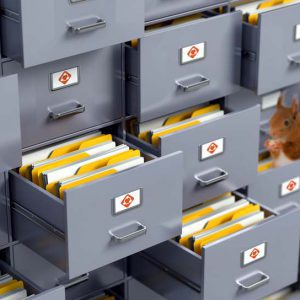 information management intelligent search