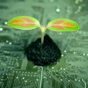 Flare Solutions are industry-leaders in the recovery and management of legacy information.
