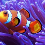 A deep dive into metadata relevance and document management